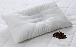 【保健枕頭】保健枕頭的特點,保健枕頭的原理,圖片