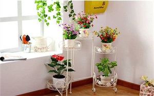 【室内花架】室内花架種類,室内花架材質,如何選購,圖片