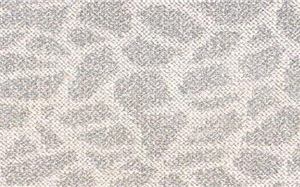 【地毯】地毯的種類_選購_保養_圖片