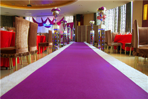 【紫色地毯】紫色地毯介紹_清洗_搭配_貼圖