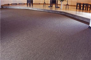 【會議室地毯】會議室地毯圖案搭配_材質介紹_品牌價格_效果圖