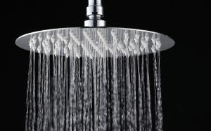 【不鏽鋼淋浴噴頭】不鏽鋼淋浴噴頭品牌，結構，不鏽鋼淋浴噴頭堵了怎麽辦，安裝，圖片